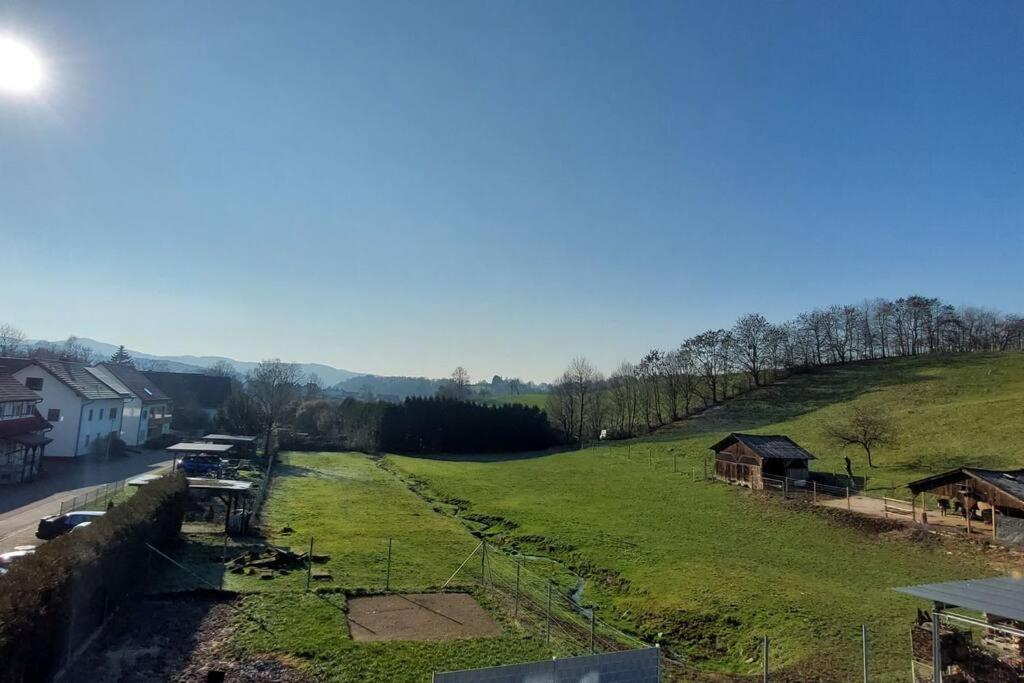 Grosse Tolle 4 Zimmer Ferienwohnung Im Herzen Des Odenwaldes Mörlenbach Eksteriør bilde