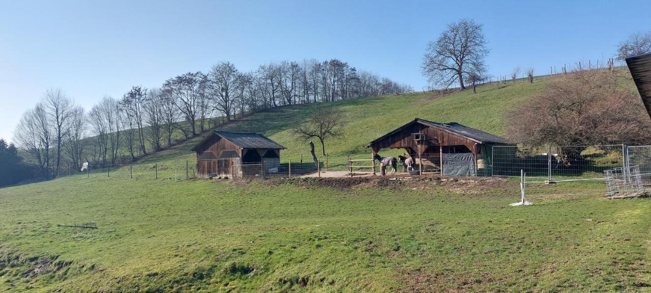 Grosse Tolle 4 Zimmer Ferienwohnung Im Herzen Des Odenwaldes Mörlenbach Eksteriør bilde